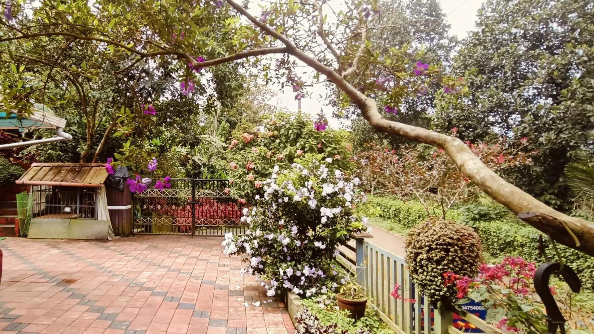 Divine View Holyday Home Kalpetta