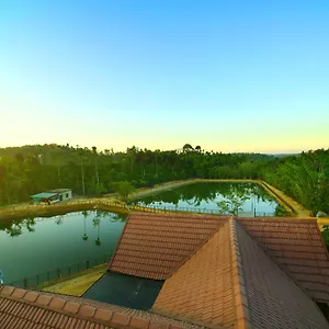 Brown Bean Resort